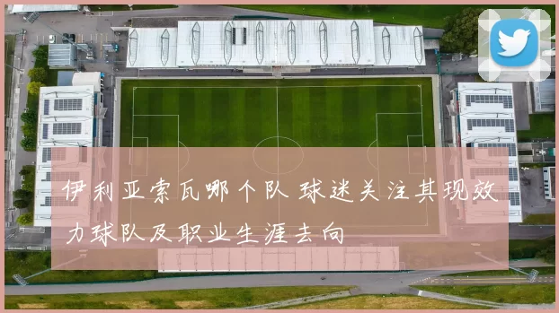 伊利亚索瓦哪个队 球迷关注其现效力球队及职业生涯去向