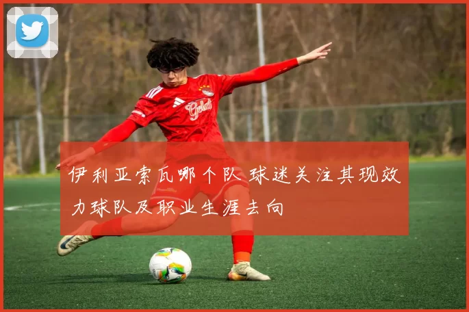 伊利亚索瓦哪个队 球迷关注其现效力球队及职业生涯去向