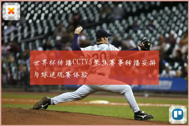 世界杯传播CCTV5聚焦赛事转播安排与球迷观赛体验