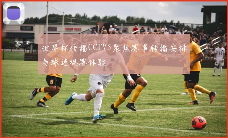 世界杯传播CCTV5聚焦赛事转播安排与球迷观赛体验