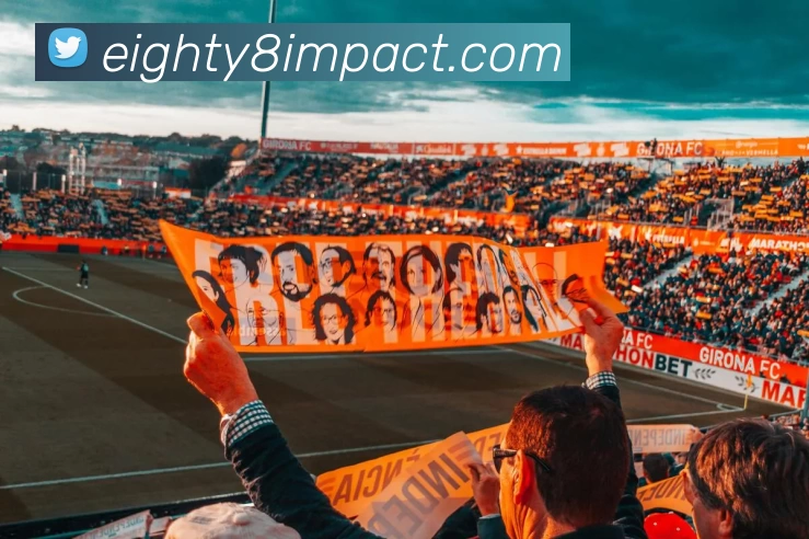 国足直播入口服务体系