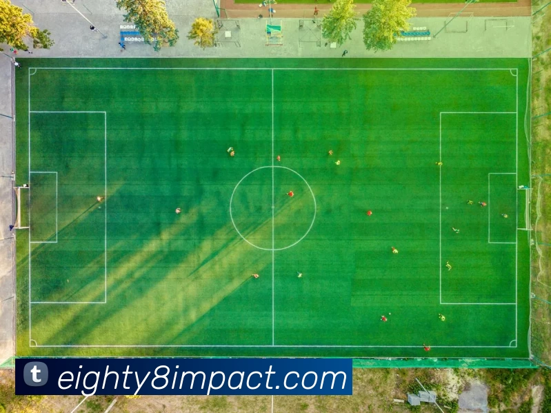 多媒体互动体验